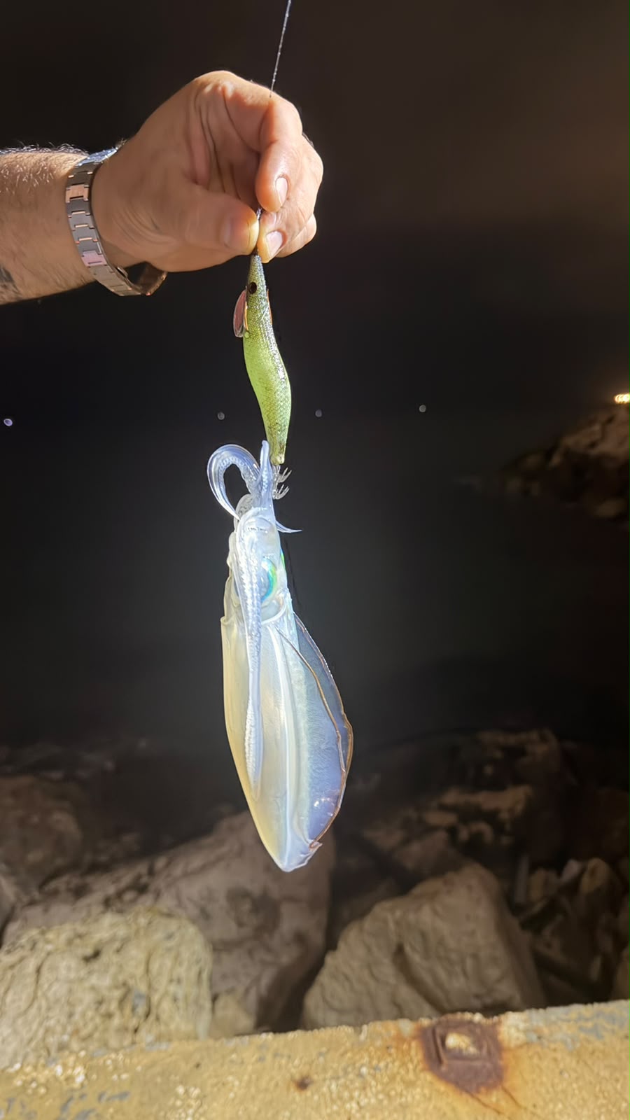 ميجا برو حبار إيجي SJ-P 3.5C