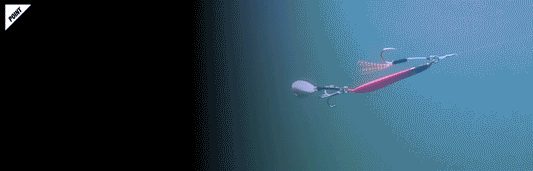 Jackall Big Backer E-blade 20g - Cho Sagoshi Pink Spark Lure