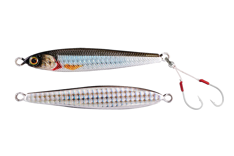 Jackall Seabass Anchovy Metal 100g | Edomae Iwashi