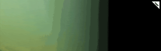 Jackall Counter Back Stealth Smoke Shad