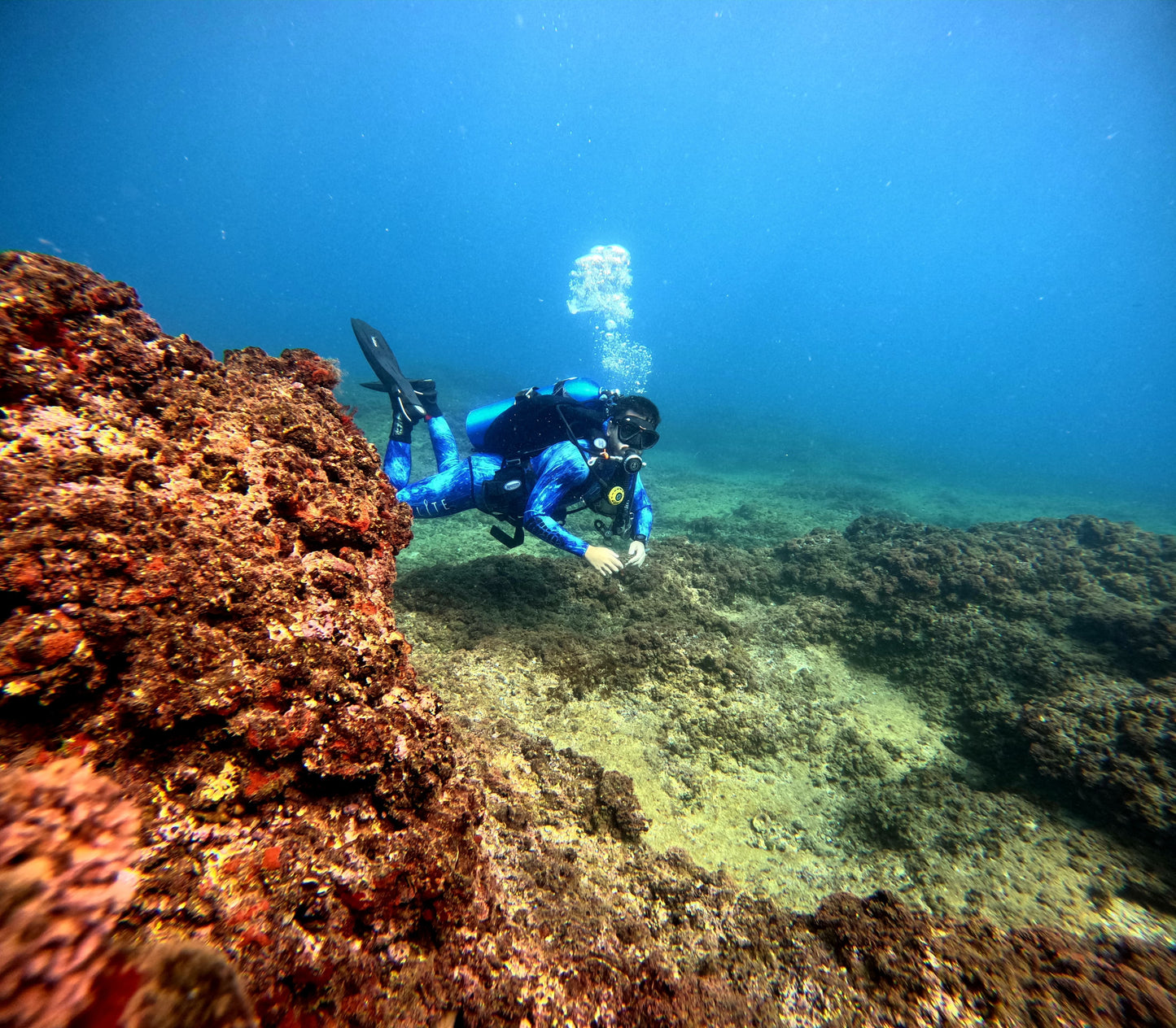 Entry-Level Freediving Course – AIDA Certified