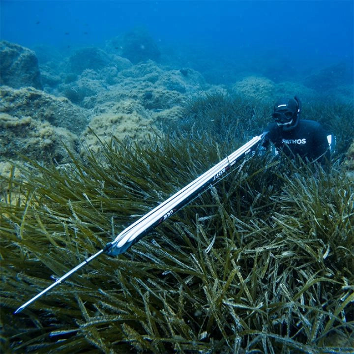 Pathos Speargun Laser Evo Carbon.