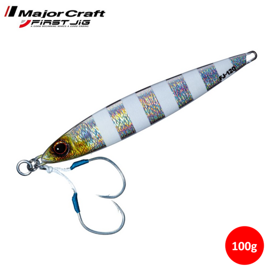 Major Craft Standard Heavy Metal Jig 100g