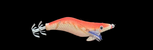 Megapro Squid Jig SJ-P 2.5C – Egi Lure for Squid & Cuttlefish