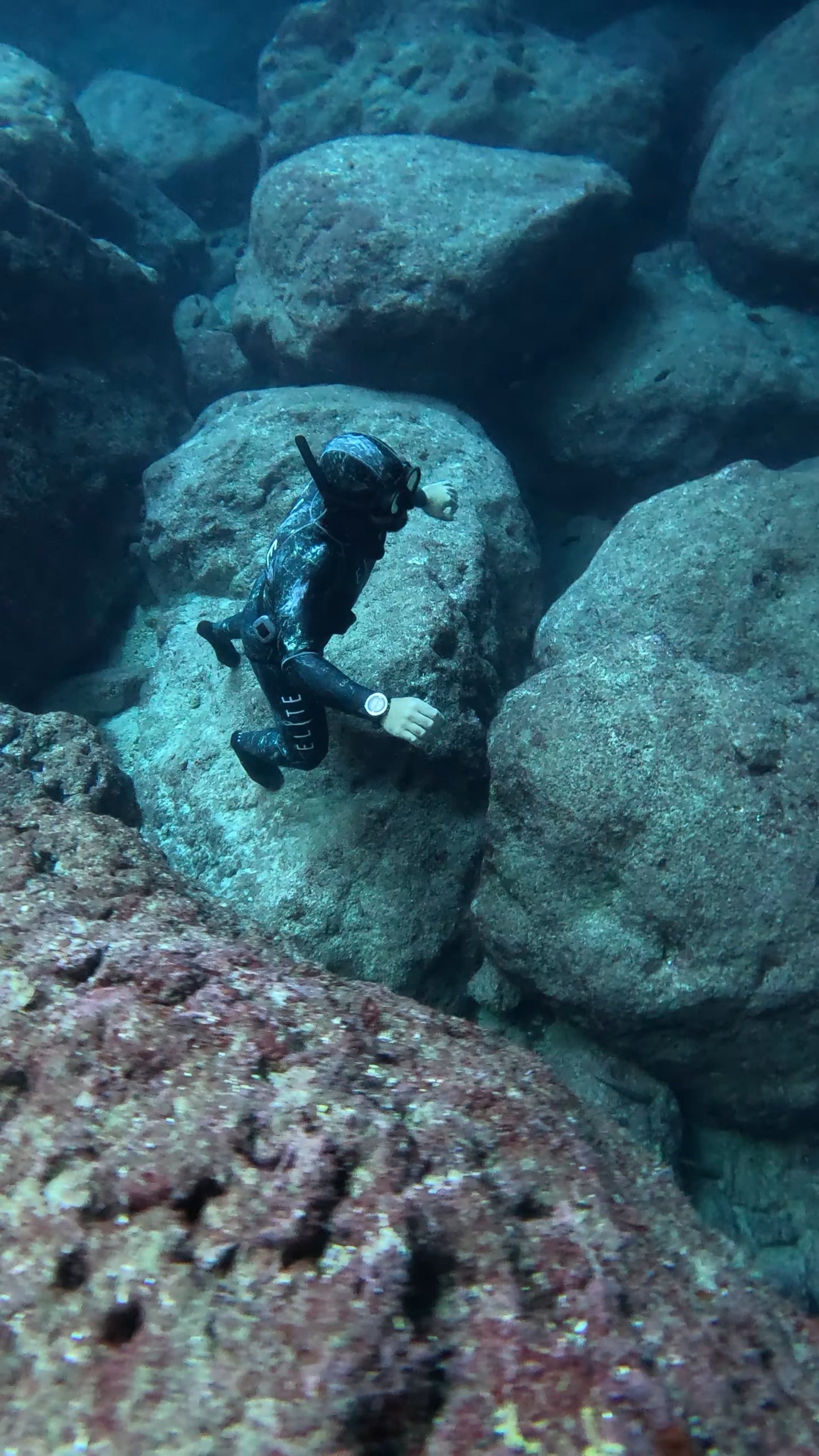 Entry-Level Freediving Course – AIDA Certified