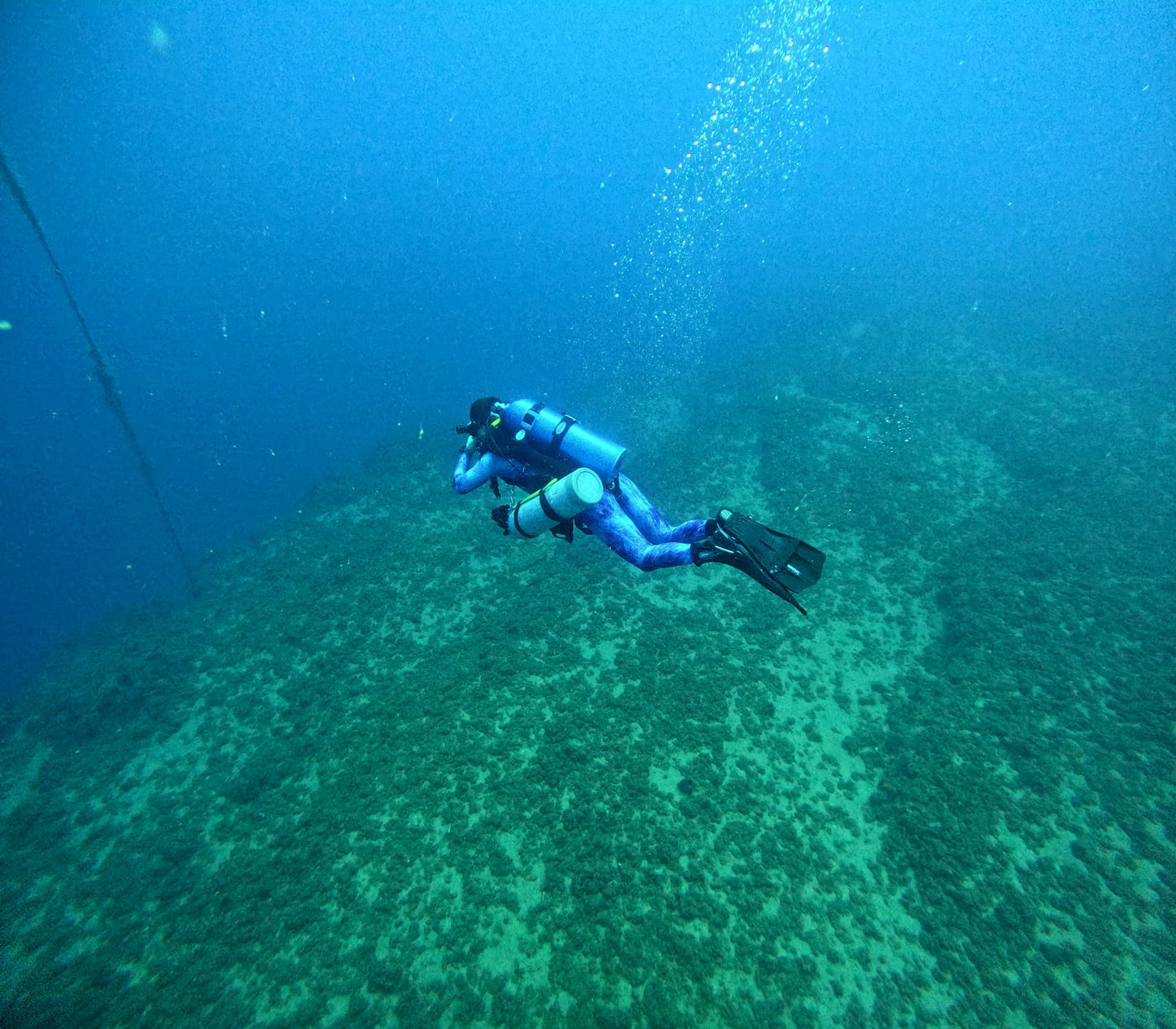 Entry-Level Freediving Course – AIDA Certified
