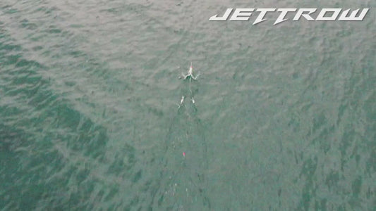 Jackall Jettrow Mini 25g - Shirasu Set Lure