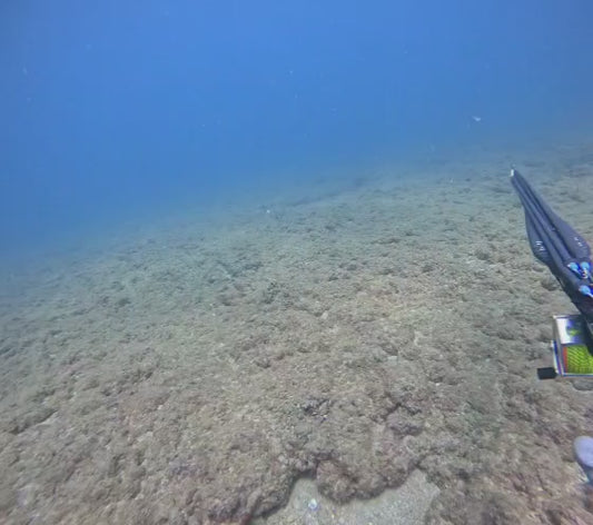 Elite Carbon Fiber Speargun — Floating | 100 / 110 / 120 cm