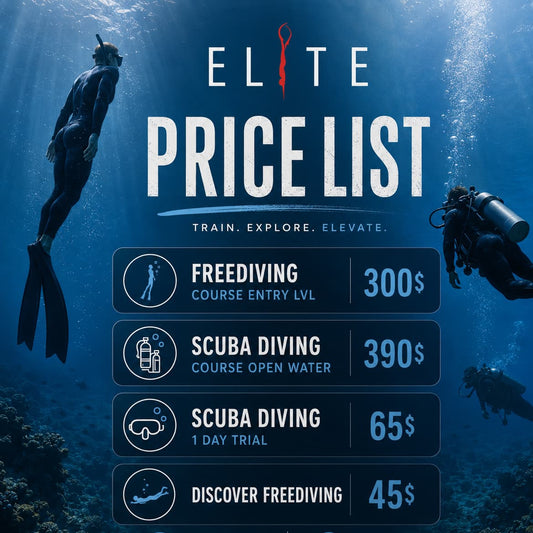 Entry-Level Freediving Course – AIDA Certified