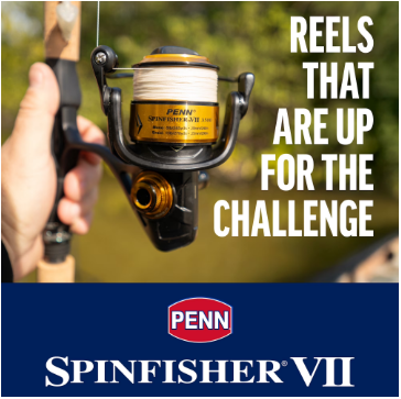 Penn Spinfisher VI Spinning Reel